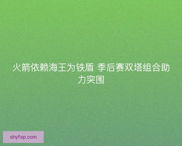 火箭依赖海王为铁盾 季后赛双塔组合助力突围